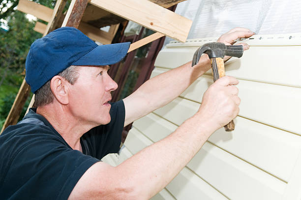 Best Brick Veneer Siding  in Dandridge, TN