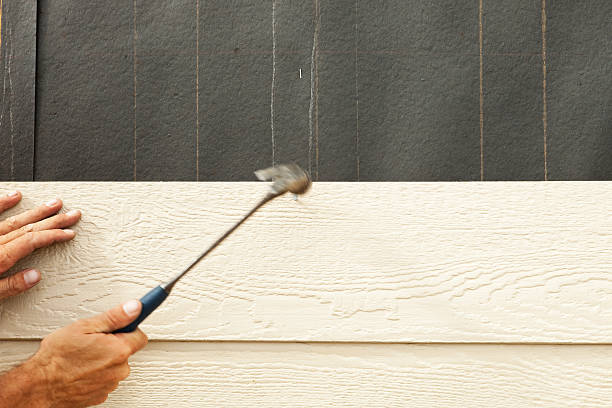 Best Composite Siding  in Dandridge, TN
